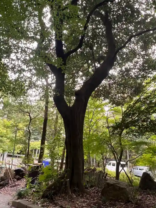 伊吹の瀧不動明王(岐阜県)