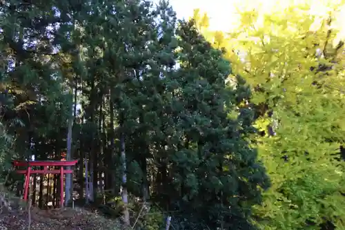 乙宿禰神社の鳥居