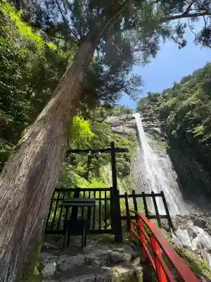 飛瀧神社（熊野那智大社別宮）の{uncategorized: "未分類", other: "その他", undefined: "問題あり", building: "その他建物", grave: "お墓", sacred_gate: "鳥居", guardian: "狛犬", statue: "像", buddha: "仏像", history: "歴史", nature: "自然", garden: "庭園", animal: "動物", pagoda: "塔", temizu: "手水舎", mountain_gate: "山門・神門", sanctuary: "本殿・本堂", subordinate: "末社・摂社", art: "芸術", scenery: "景色", jizo: "地蔵", ema: "絵馬", goshuin: "御朱印", omikuji: "おみくじ", items: "授与品その他", amulet: "お守り", goshuincho: "御朱印帳", eats: "食事", festival: "お祭り", votive_dance: "神楽", shichigosan: "七五三参", wedding: "結婚式", experience: "体験その他", initially: "初詣", around: "周辺", anti_infection: "感染症対策"}