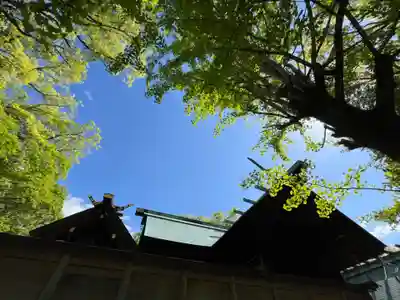 白金龍王社(愛知県)