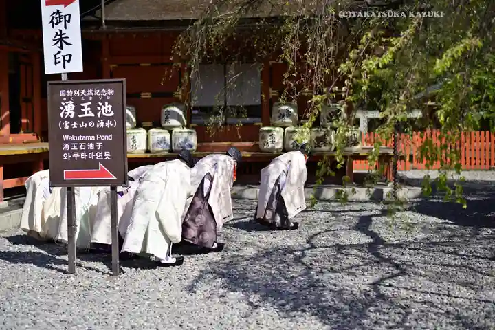 富士山本宮浅間大社(静岡県)