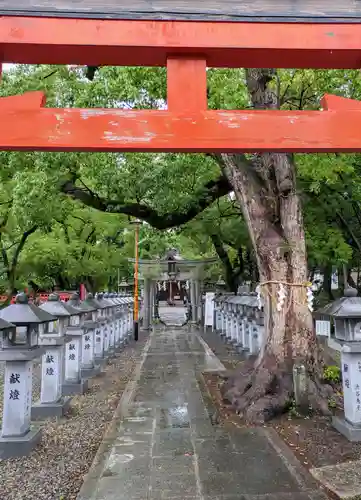 信太森神社（葛葉稲荷神社）(大阪府)
