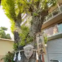 押切稲荷神社の自然