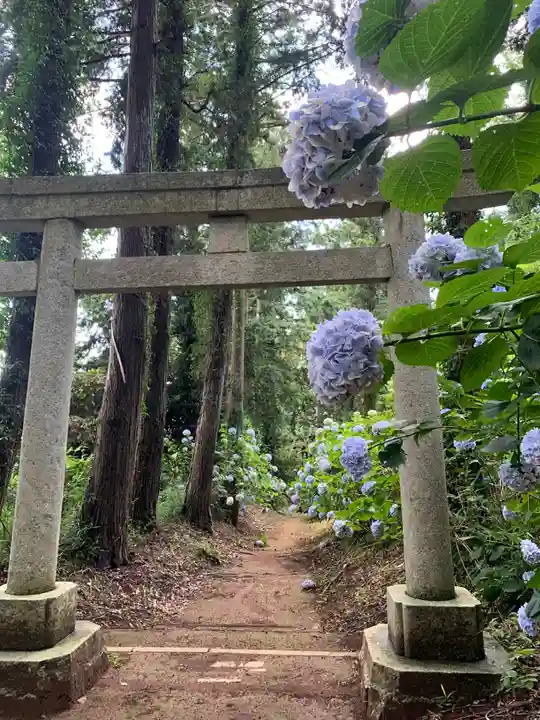 三輪神社(千葉県)