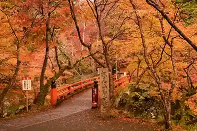 西明寺(京都府)
