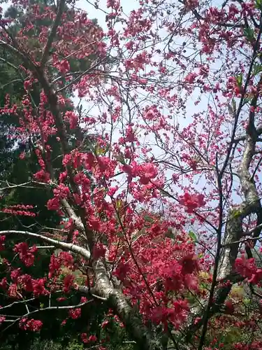 御霊神社の自然