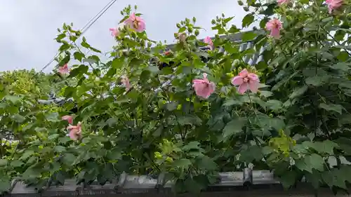 如願寺(大阪府)