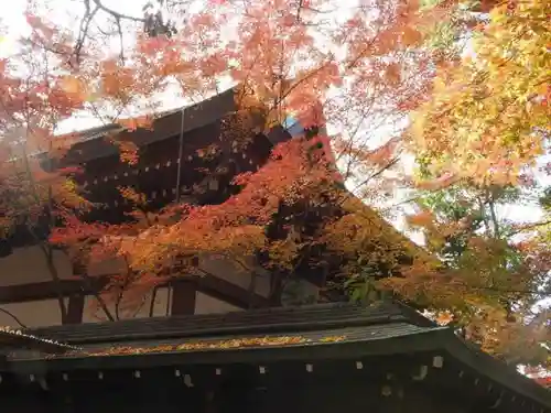 御霊神社（上御霊神社）の本殿