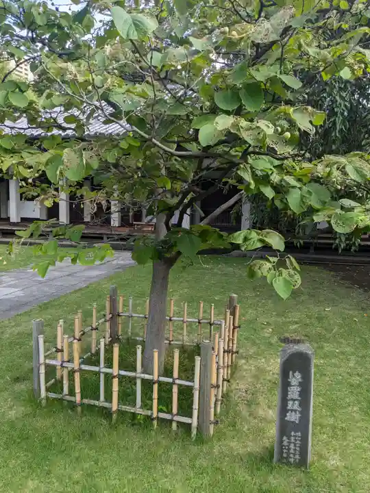 天王寺(東京都)