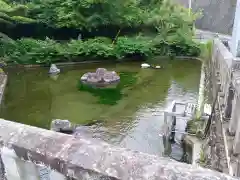 狩野厳島神社(神奈川県)