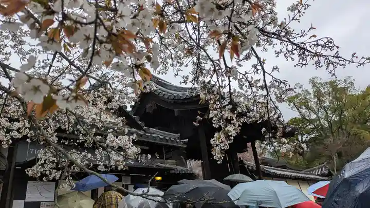 醍醐寺(京都府)