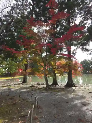 毛越寺の御朱印