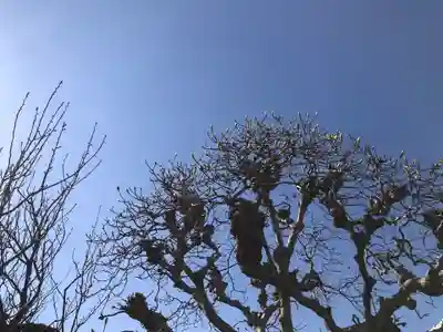 妙経寺(神奈川県)