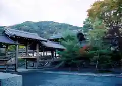 天龍寺の景色