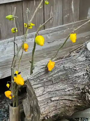 須山浅間神社(静岡県)
