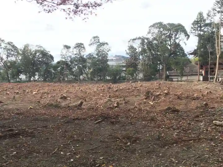 醍醐寺(上醍醐)の周辺