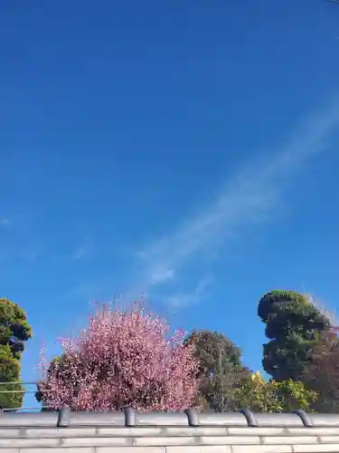 惣宗寺(栃木県)