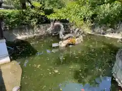 壬生寺(京都府)