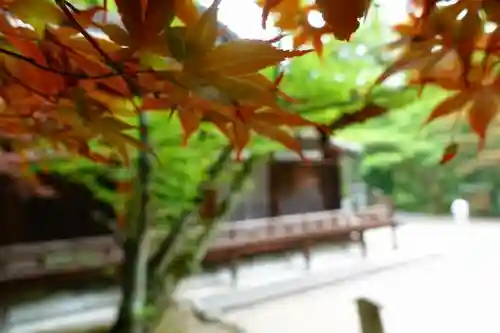 霊山寺の自然