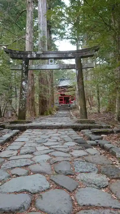 瀧尾神社(日光二荒山神社別宮)の鳥居