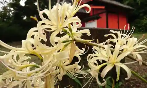 三崎稲荷神社の自然