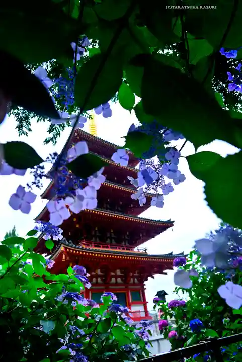 高幡不動尊 金剛寺(東京都)