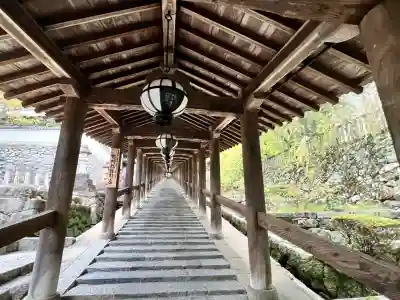 青岸渡寺(和歌山県)