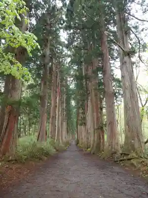 戸隠神社奥社(長野県)