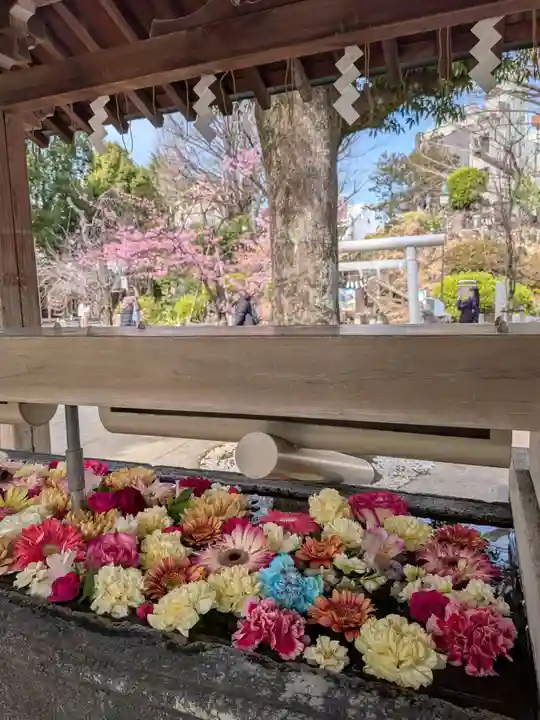 鳩森八幡神社(東京都)