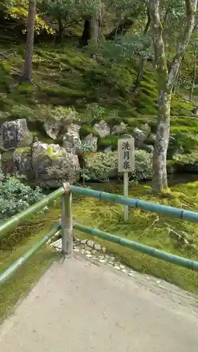 慈照寺（慈照禅寺・銀閣寺）の庭園