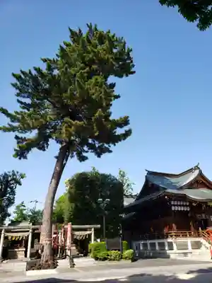 中野沼袋氷川神社(東京都)