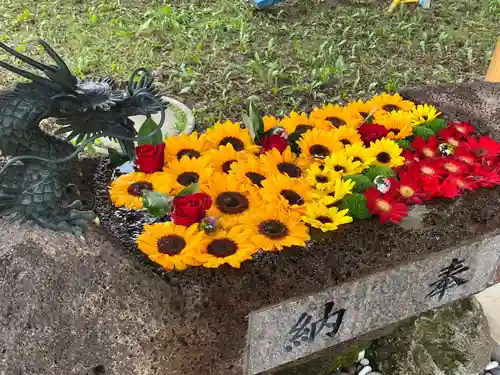 帯広三吉神社の手水