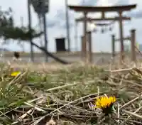 🌸乙部八幡神社(北海道)