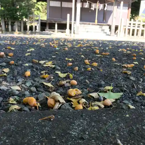 温泉神社～磐梯熱海温泉～の自然