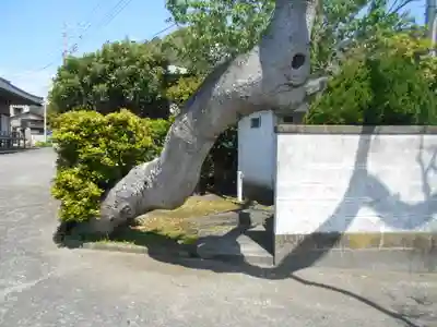 円乗院のその他建物