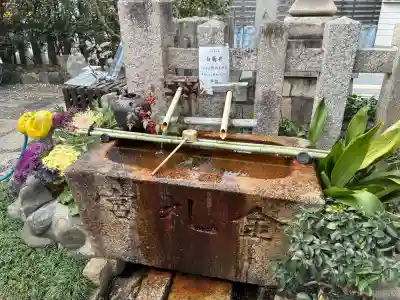 金札宮の{uncategorized: "未分類", other: "その他", undefined: "問題あり", building: "その他建物", grave: "お墓", sacred_gate: "鳥居", guardian: "狛犬", statue: "像", buddha: "仏像", history: "歴史", nature: "自然", garden: "庭園", animal: "動物", pagoda: "塔", temizu: "手水舎", mountain_gate: "山門・神門", sanctuary: "本殿・本堂", subordinate: "末社・摂社", art: "芸術", scenery: "景色", jizo: "地蔵", ema: "絵馬", goshuin: "御朱印", omikuji: "おみくじ", items: "授与品その他", amulet: "お守り", goshuincho: "御朱印帳", eats: "食事", festival: "お祭り", votive_dance: "神楽", shichigosan: "七五三参", wedding: "結婚式", experience: "体験その他", initially: "初詣", around: "周辺", anti_infection: "感染症対策"}