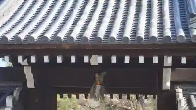 廬山寺(廬山天台講寺)(京都府)