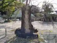 龍海院(愛知県)