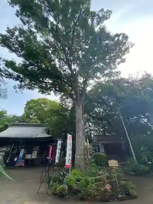敷島神社(埼玉県)