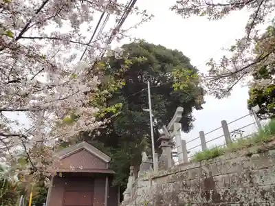 八雲神社(北鎌倉・山ノ内)のその他建物