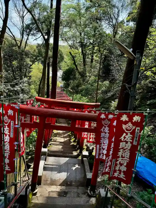 佐助稲荷神社の鳥居