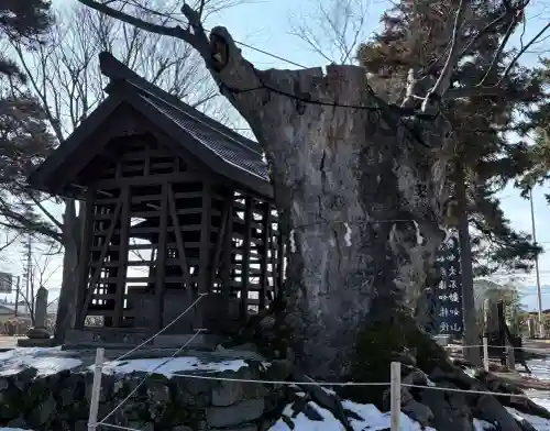 川中島古戦場八幡社の{uncategorized: "未分類", other: "その他", undefined: "問題あり", building: "その他建物", grave: "お墓", sacred_gate: "鳥居", guardian: "狛犬", statue: "像", buddha: "仏像", history: "歴史", nature: "自然", garden: "庭園", animal: "動物", pagoda: "塔", temizu: "手水舎", mountain_gate: "山門・神門", sanctuary: "本殿・本堂", subordinate: "末社・摂社", art: "芸術", scenery: "景色", jizo: "地蔵", ema: "絵馬", goshuin: "御朱印", omikuji: "おみくじ", items: "授与品その他", amulet: "お守り", goshuincho: "御朱印帳", eats: "食事", festival: "お祭り", votive_dance: "神楽", shichigosan: "七五三参", wedding: "結婚式", experience: "体験その他", initially: "初詣", around: "周辺", anti_infection: "感染症対策"}
