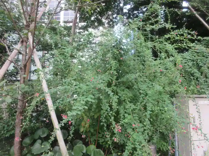 西久保八幡神社(東京都)
