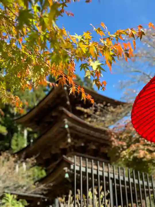 新海三社神社(長野県)