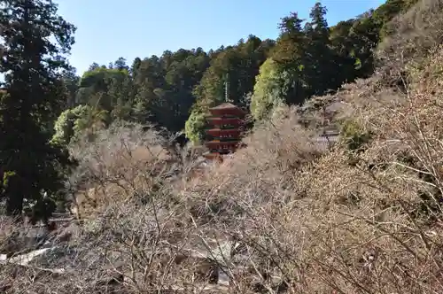 長谷寺(奈良県)