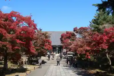 仁和寺のその他建物