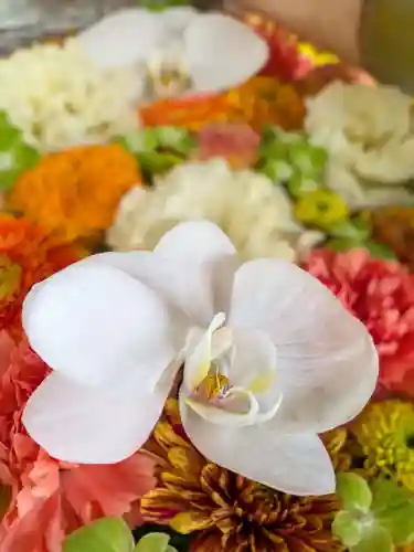 富岡八幡宮(東京都)