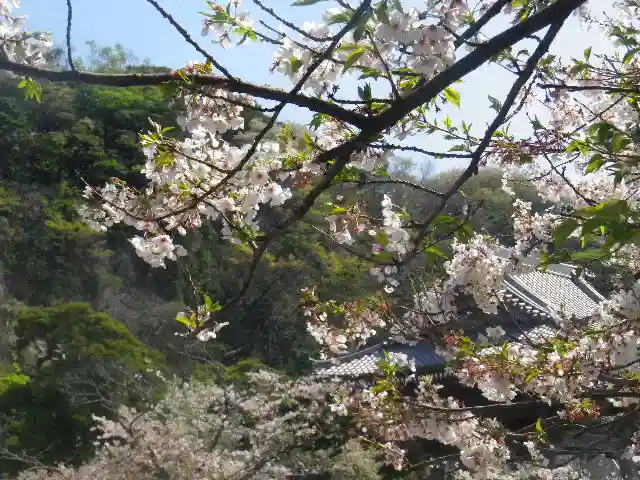 光明寺のその他建物