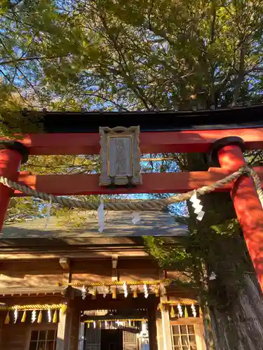 淺間神社（忍野八海）の鳥居