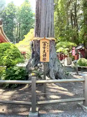 北口本宮冨士浅間神社(山梨県)